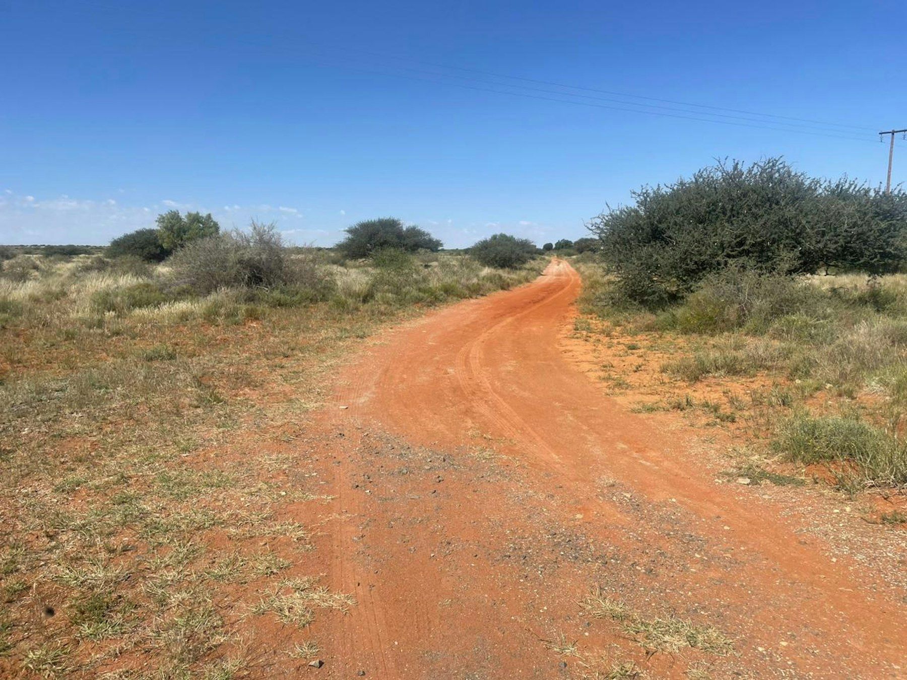 Red farm road